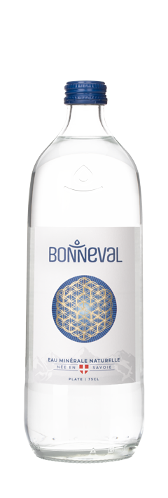 Eau minérale pétillante Bonneval (33cl bouteille verre) - Oclico