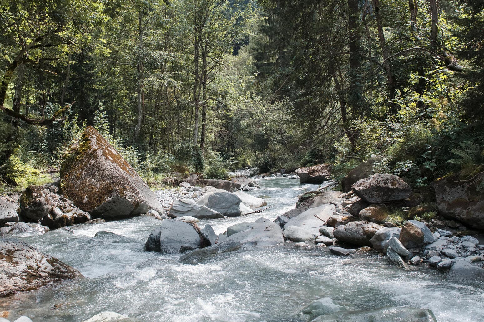 Visuel d'une rivière en journée