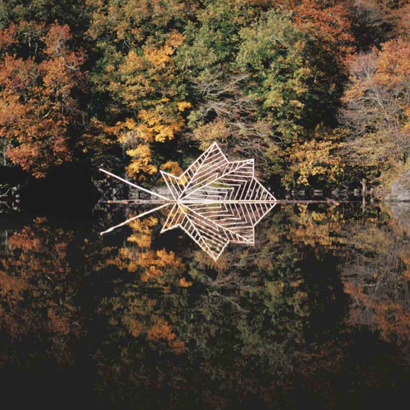 Forêt avec un lac